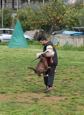 Mord de Guezman Mord de Guezman