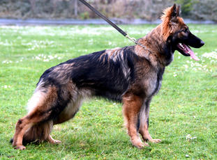 Cora von Kraiburg Cora von Kraiburg