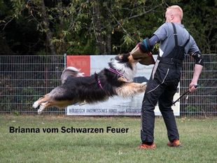 Brianna vom Schwarzen Feuer Brianna vom Schwarzen Feuer