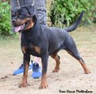 Vivi von der Mühlbachstrasse