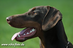 Ulyseajane von Weser-Ems Ulyseajane von Weser-Ems