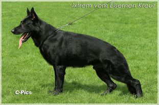 Ixtrem vom Eisernen Kreuz Ixtrem vom Eisernen Kreuz