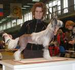 Ladushka Dlya Zholesk Ot Lyali Beloy