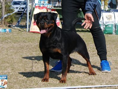 Yuki vom Grossen Tal Yuki vom Grossen Tal