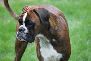 Ember von Lothringen Ember von Lothringen