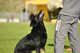 Max vom Waldhäuser Schloß Max vom Waldhäuser Schloß