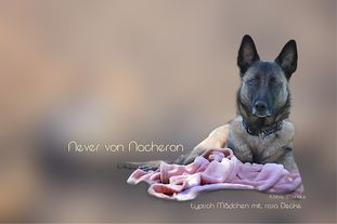 Never von Nacheron Never von Nacheron