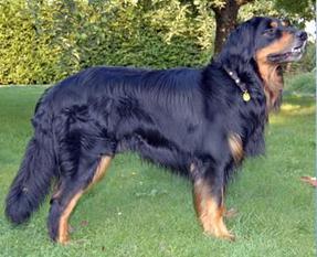 Alkiz von Almodis Alkiz von Almodis