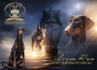 Acqua Rosa von der Piratenburg Acqua Rosa von der Piratenburg