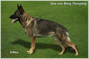 Una von Burg Tiersperg Una von Burg Tiersperg