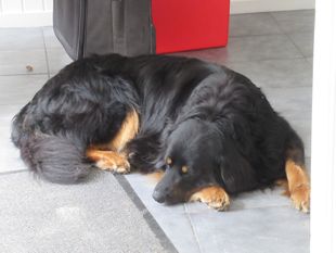 Bou vom Zeilstein Bou vom Zeilstein