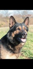Hellboy von der schwarzen Irma Hellboy von der schwarzen Irma