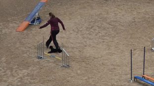 Jolie Pippa vom Kaltenbrunner Forst Jolie Pippa vom Kaltenbrunner Forst