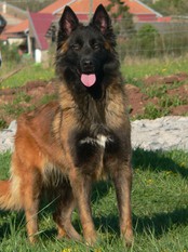 Ina de sofira d'alsace Ina de sofira d'alsace