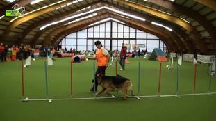 Balu SZ Reg? (Hauptert) Balu SZ Reg? (Hauptert)