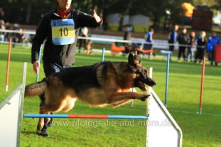 Rush Ace van de Ybajohoeve Rush Ace van de Ybajohoeve