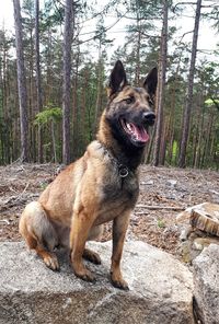 Iren Ort Bohemia Iren Ort Bohemia