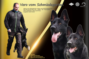 Vero vom Schmiedegarten Vero vom Schmiedegarten