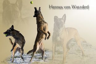 Hennes von Watzdorf Hennes von Watzdorf