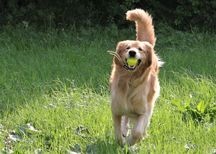 Bild von Jule vom Julienhof