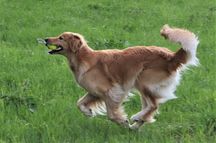 Bild von Jule vom Julienhof