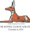 KCL Show