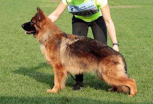 Sunny von der Bastillie Sunny von der Bastillie