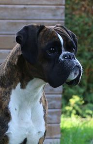 Enora von Daro