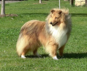 Matheo Stříbrné doly Matheo Stříbrné doly