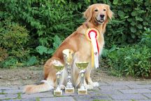 29.09.2019 Tulln (Österreich): v1, CACA, CACIB, BOS, ÖKV Bundessiegerin