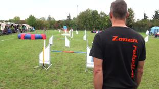 Fly (Ritscher) Fly (Ritscher)