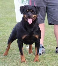 Felony vom Hause Hudson Felony vom Hause Hudson