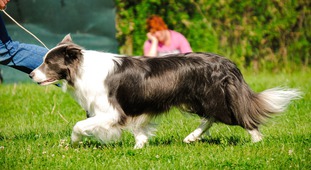 Athos z Keblických strání Athos z Keblických strání