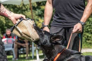 Gisa von der außergewöhnlichen Liga Gisa von der außergewöhnlichen Liga