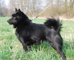 Arwen von Chirlitz Arwen von Chirlitz