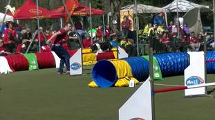 Yoyo LOI 09/124761 Yoyo LOI 09/124761