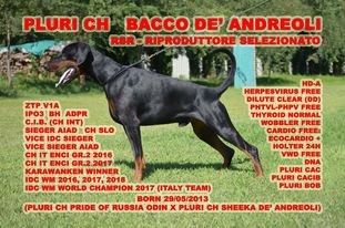 Bacco De' Andreoli Bacco De' Andreoli