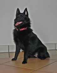 Cleopatra vom Schloß Bourbon Cleopatra vom Schloß Bourbon