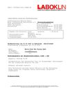 Befund Bella CJM.pdf