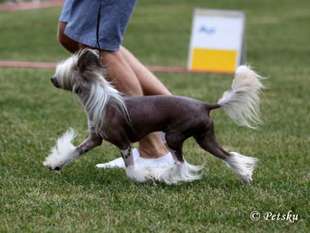 Bryelis Running Bare Jw Shcm Bryelis Running Bare Jw Shcm