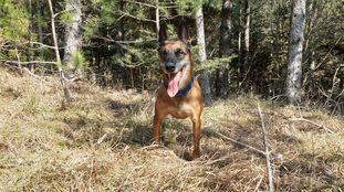 Alina mit heissem Blut Alina mit heissem Blut
