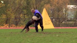 Argo von Schweizer Argo von Schweizer