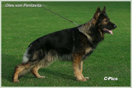 Olex von Pentavita Olex von Pentavita