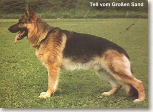 Tell vom Großen Sand Tell vom Großen Sand