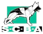 SCBA Sélection de l’équipe de France WUSV