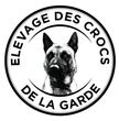 Cedric girier