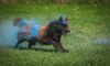 Malinoid Glow Ohoh Gaya
