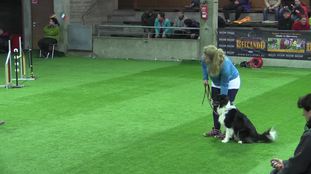 Anka (Linnemann) Anka (Linnemann)