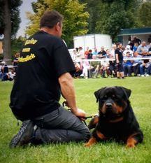 Balou vom Norderdiek Balou vom Norderdiek