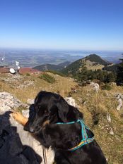 Abaska von der Urschlagquelle Abaska von der Urschlagquelle
